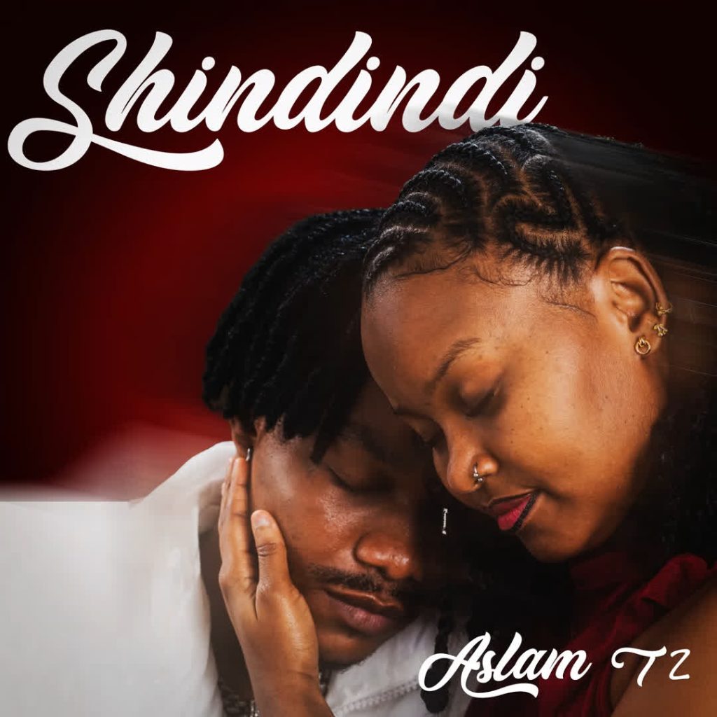 Aslam Tz – Shindindi by Aslam Tz